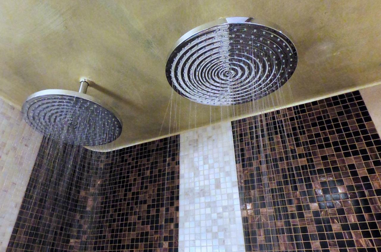 Purer Luxus In Zwickau Planitz - Exklusive Ferienwohnung Fuer Bis Zu 10 Personen! エクステリア 写真