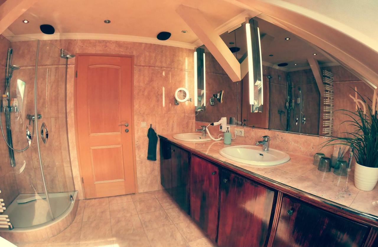 Purer Luxus In Zwickau Planitz - Exklusive Ferienwohnung Fuer Bis Zu 10 Personen! エクステリア 写真