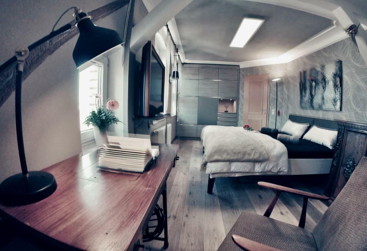 Purer Luxus In Zwickau Planitz - Exklusive Ferienwohnung Fuer Bis Zu 10 Personen! エクステリア 写真