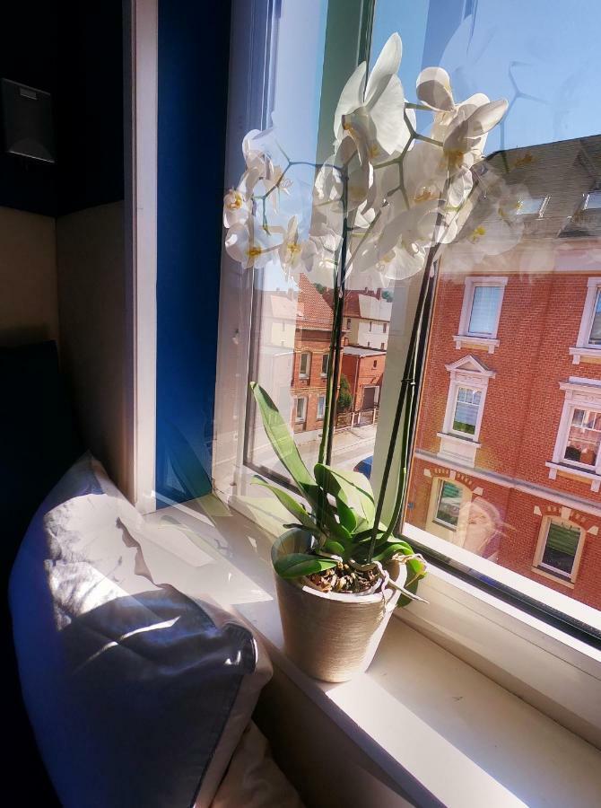 Purer Luxus In Zwickau Planitz - Exklusive Ferienwohnung Fuer Bis Zu 10 Personen! エクステリア 写真